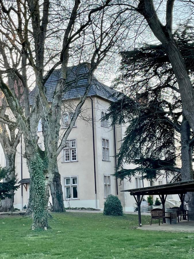 Bed&Breakfast Le Château de Morey Belleau Exterior foto